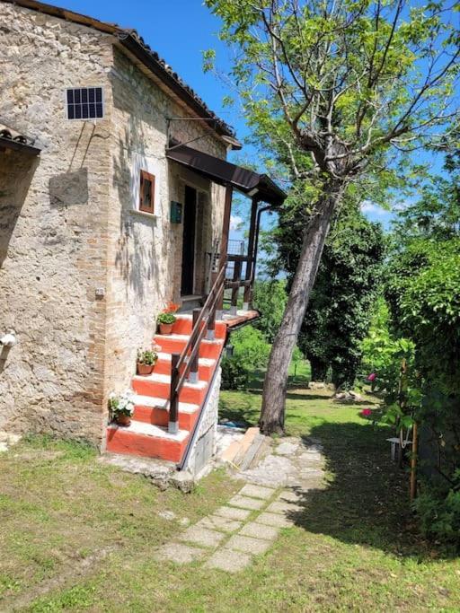 Il Rifugio Del Cacciatore / The Hunter's Shelter *