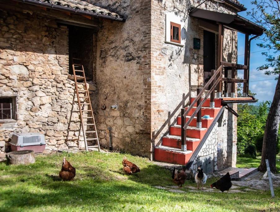 Il Rifugio Del Cacciatore / The Hunter's Shelter Holiday home Pretoro