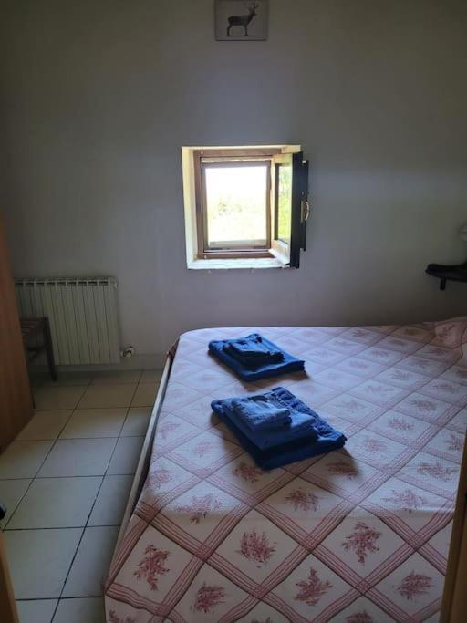 Holiday home Il Rifugio Del Cacciatore / The Hunter's Shelter *